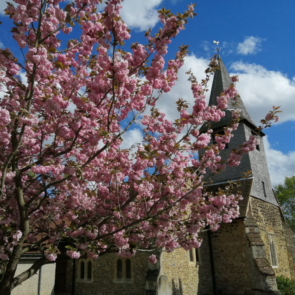 St. Peters Church Great Totham in Spring