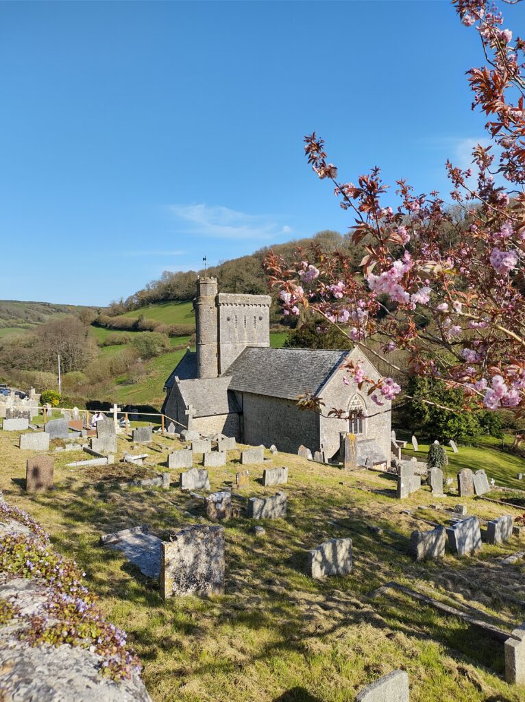 Spring blossom, St Winifred's Branscombe