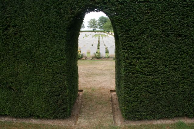 View through hedge